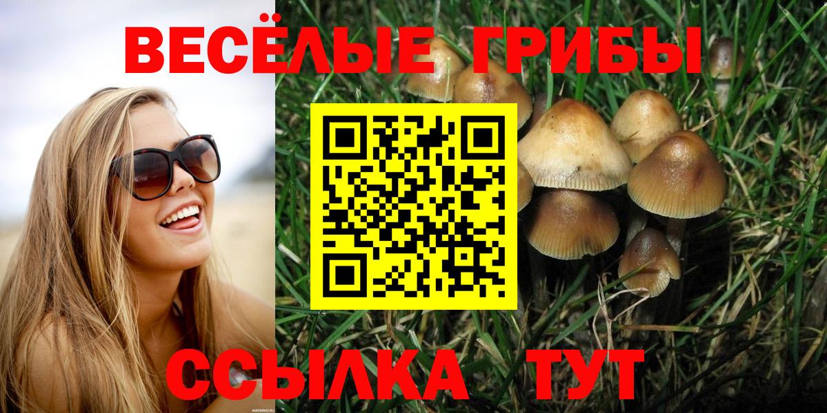 Якутск  Псилоцибиновые грибы Magic Shrooms  магазин продажи наркотиков  Вход с VPN  Галлюциногенные грибы ЛСД 
